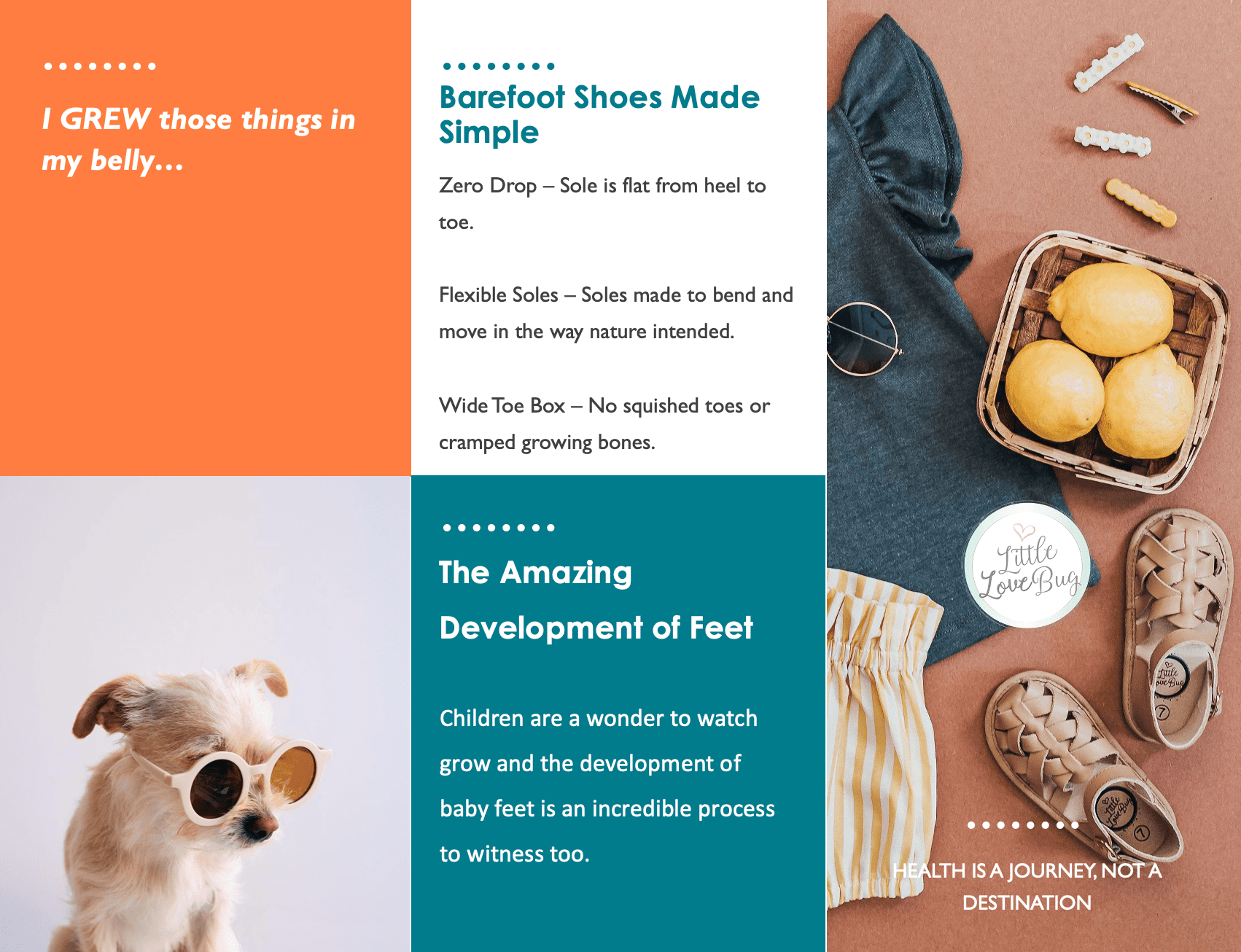 The Amazing Development of Baby Feet - Little Love Bug Co.