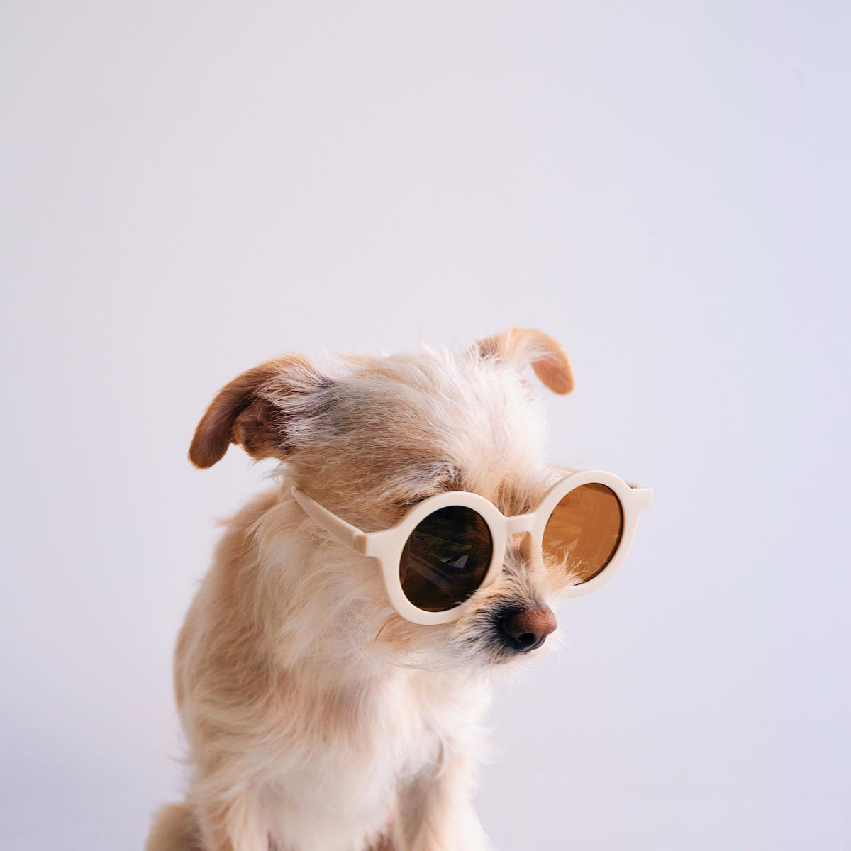 Sunny May Sunnies - Little Love Bug Co.
