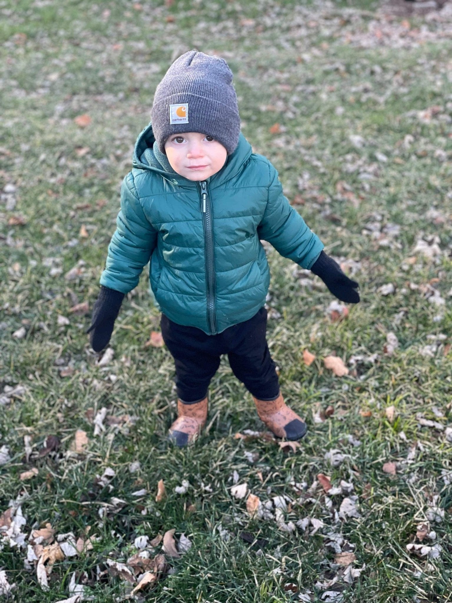 Little Love Bug Co. Boot The Dexter Boot