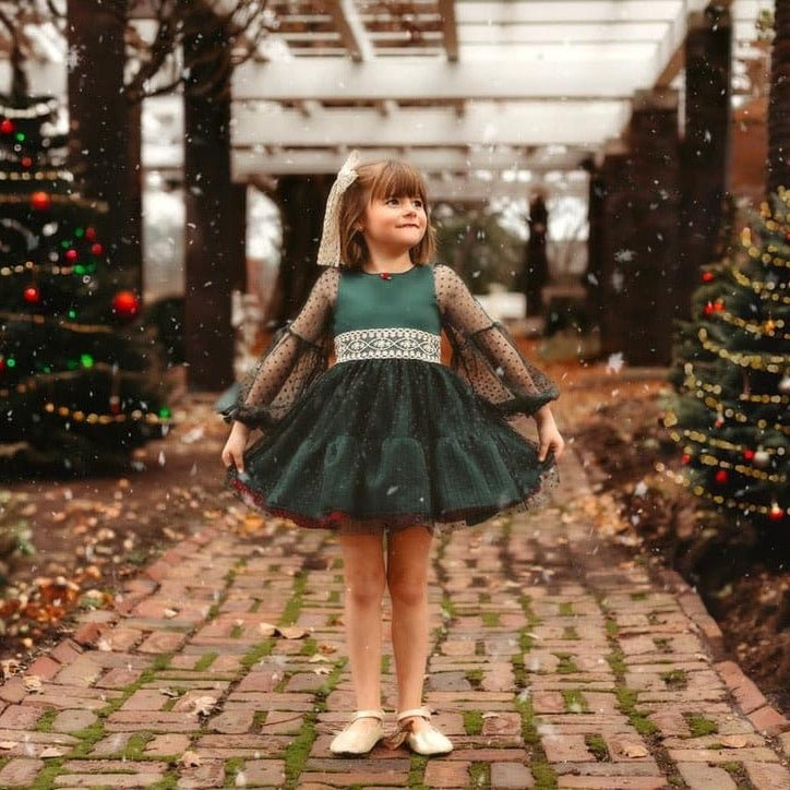 Little Love Bug Co. Dress The Olivia