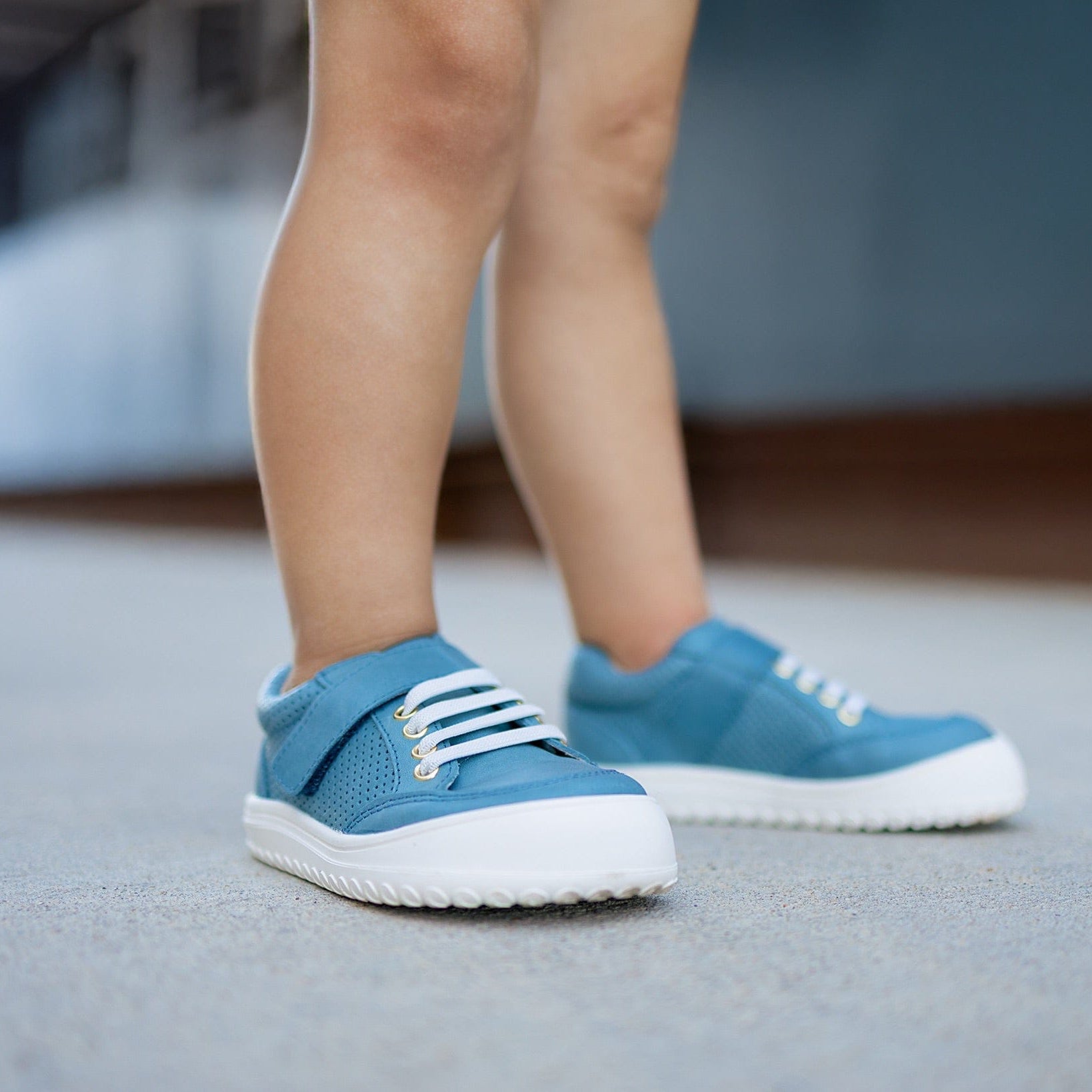 Little Love Bug Co. Sneaker Blue Bone Avocado Sneakers Discontinued