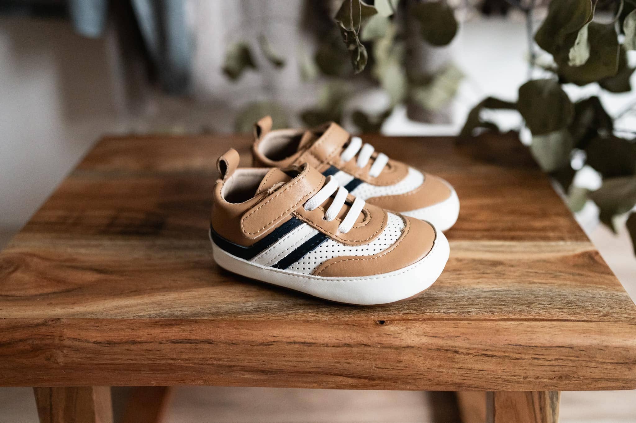 Little Love Bug Co. Sneaker The Henry Low Top