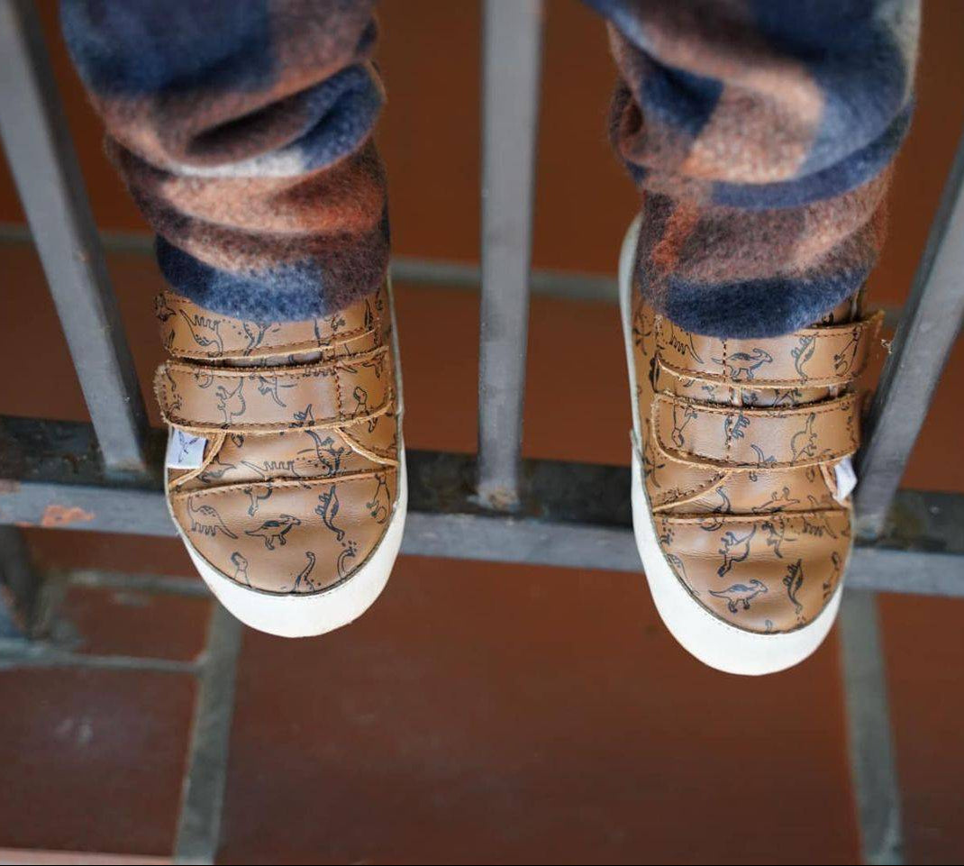 Casual Dinosaur Low Top - Little Love Bug Co.